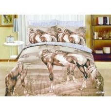Cavallo